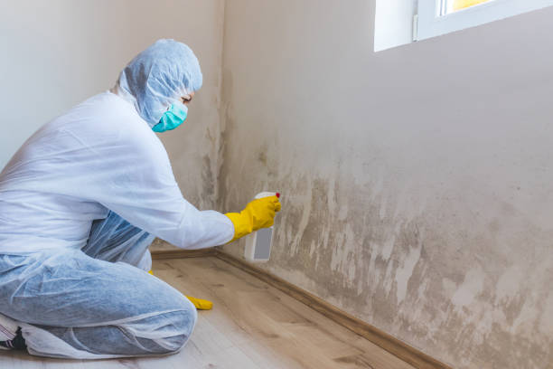 Crawl Space Mold Remediation treatment of floor joists in Unionville