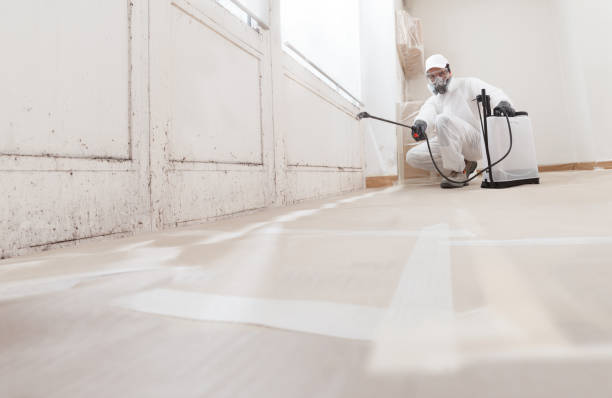 Black mold remediation team in Unionville